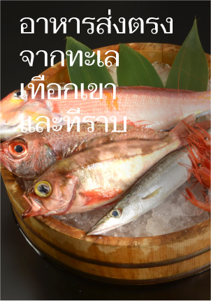 Food from the sea, the mountains and the plains.