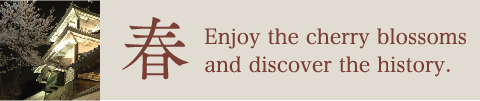 Enjoy the cherry blossomsand discover the history.