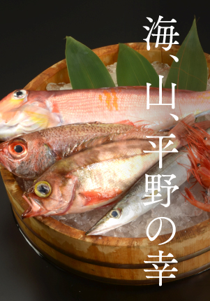 海、山、平野の幸