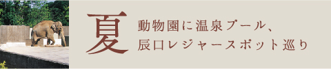 夏 動物園に温泉プール、辰口レジャースポット巡り