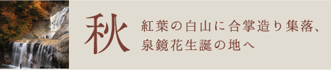 秋 紅葉の白山に合掌造り集落、泉鏡花生誕の地へ